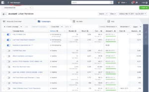 Facebook Ads: plataforma da ferramenta