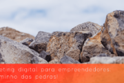 Marketing digital para empreendedores: O caminho das pedras!