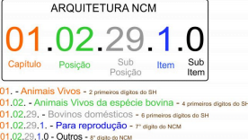 Exemplo de NCM