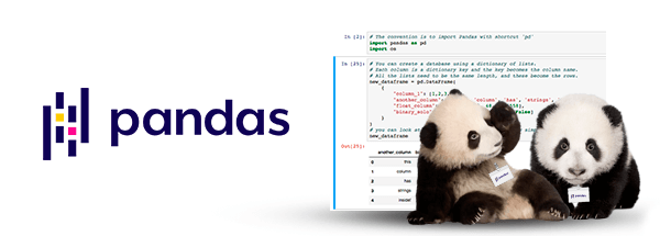 Pandas Python Interface