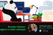 Pandas Python: vantagens e como começar